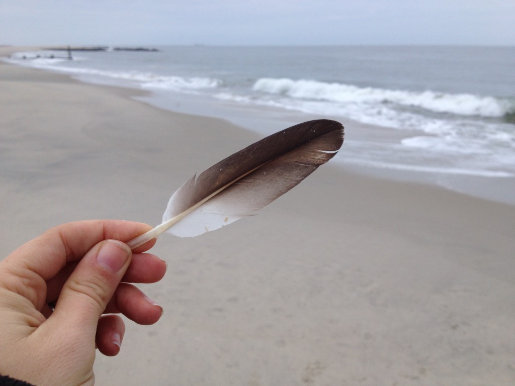 feather