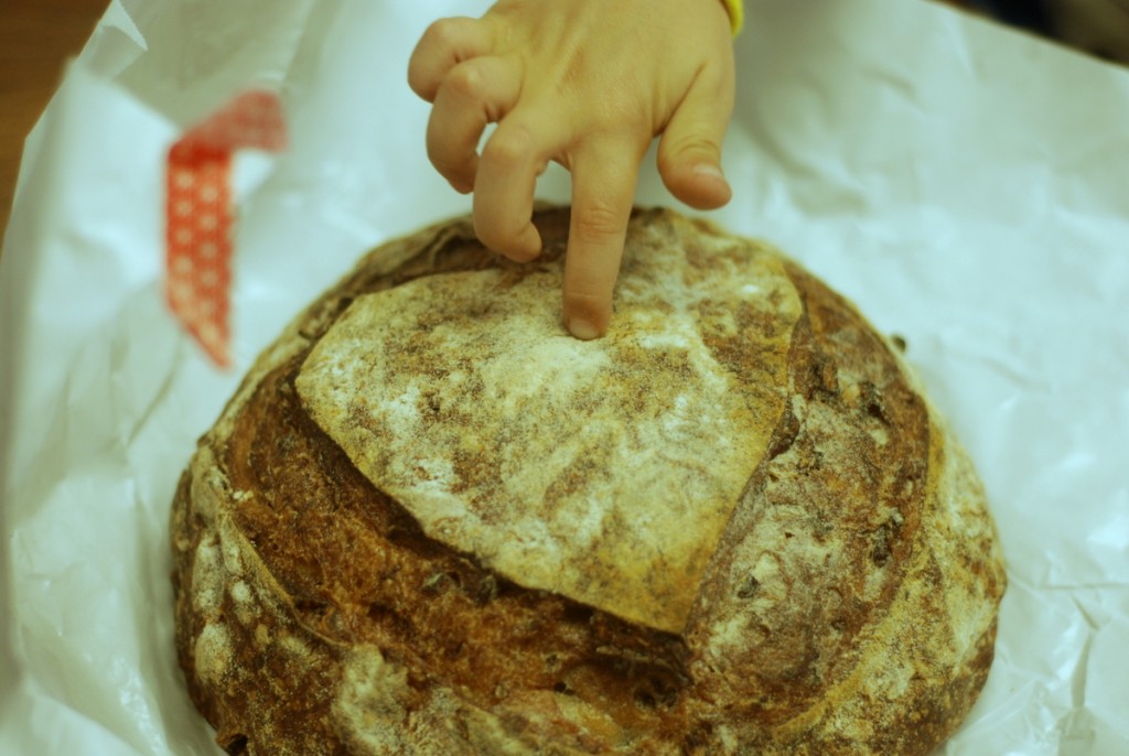 kat's sourdough