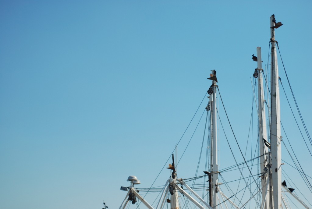 masts