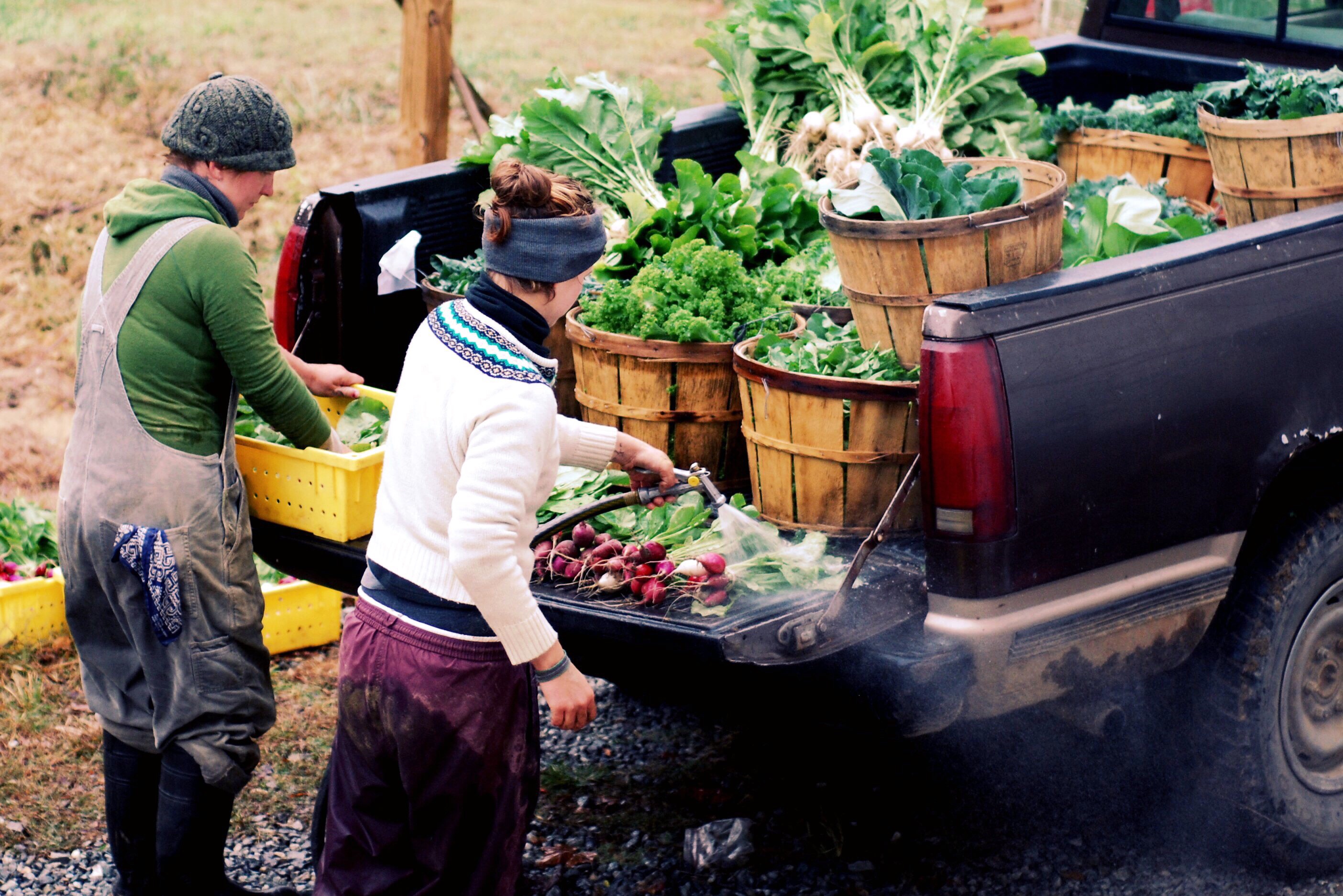 Shannon/Claire/autumn veg